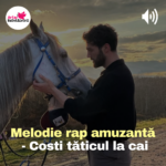 Melodie amuzantă Arta Reîntâlnirii