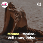 Manea Marisa Arta Reîntâlnirii